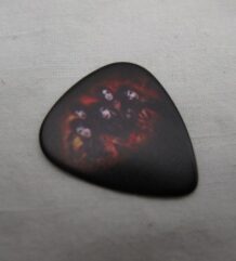 Перце на Black Veil Brides с групата