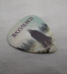 Страхотно перце на Black Veil Brides