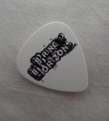 Бяло перце на Bring me the horizon
