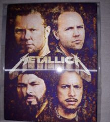 3D магнит с картинка на Metallica