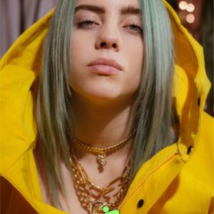 Плакат на Billie Eilish с малък размер