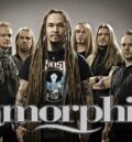 Перфектен малък плакат на Amorphis