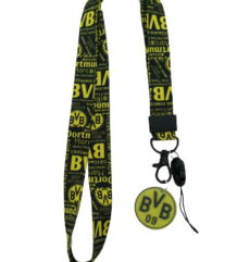 Многофункционална връзка на Borussia 09