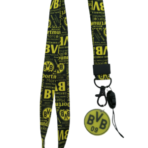 Многофункционална връзка на Borussia 09